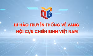 Tự hào truyền thống vẻ vang Hội cựu chiến binh Việt Nam