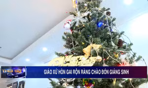 Giáo xứ Hòn Gai rộn ràng chào đón Giáng sinh