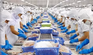 UOB dự báo tăng trưởng kinh tế năm 2025 của Việt Nam ở mức 6,6%