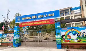 Tạm đình chỉ cô giáo bị phụ huynh 'tố' tát vào mặt, kéo lê học sinh