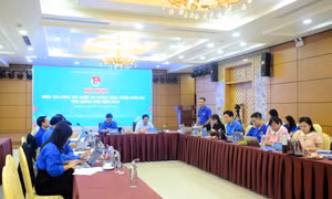 Trung ương Đoàn kiểm tra công tác Đoàn, phong trào thanh thiếu nhi tỉnh Quảng Ninh