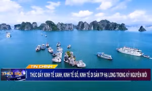 Thúc đẩy kinh tế xanh, kinh tế số, kinh tế di sản TP Hạ Long trong kỷ nguyên mới