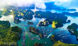 Phấn đấu đến 2030, mở rộng diện tích, thành lập mới, quản lý hiệu quả 27 khu bảo tồn biển