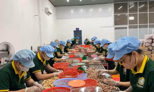 Xuất khẩu nông lâm thủy sản vượt mục tiêu năm 2024