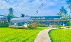 Loại đất nào được sử dụng kết hợp đa mục đích?
