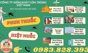 Công ty kiểm soát côn trùng Việt Nam: Xóa tan nỗi lo từ muỗi, bảo vệ không gian sống