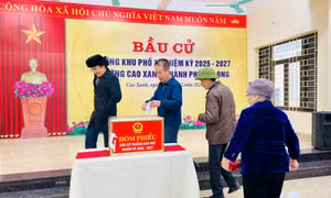Trên 315.000 cử tri toàn tỉnh tiến hành bầu cử trưởng thôn, bản, khu phố 