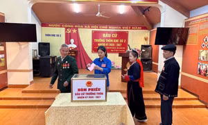 Toàn tỉnh hoàn thành bầu cử trưởng thôn, bản, khu phố 