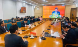 Hội nghị trực tuyến toàn quốc triển khai kế hoạch năm 2025 của ngành Nông nghiệp và phát triển nông thôn