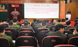 Quán triệt, triển khai thi hành các Luật được Quốc hội khóa XV thông qua tại Kỳ họp thứ 7 
