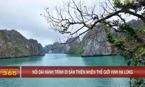 Nối dài hành trình di sản thiên nhiên thế giới Vịnh Hạ Long