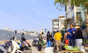 Chuyện "nông dân phố" trồng rau sạch 