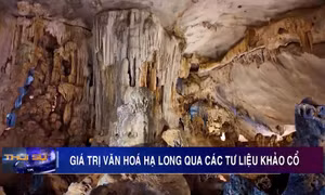 Giá trị văn hoá Hạ Long qua các tư liệu khảo cổ
