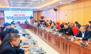Năm 2024, nông sản của Quảng Ninh được tiêu thụ ổn định