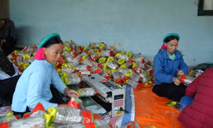 Đa dạng sinh kế giảm nghèo bền vững