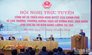 Tích cực tháo gỡ khó khăn, vướng mắc cho các dự án điện năng lượng tái tạo