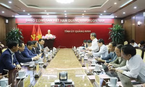 Thường trực Tỉnh ủy làm việc với lãnh đạo Tập đoàn Thành Công