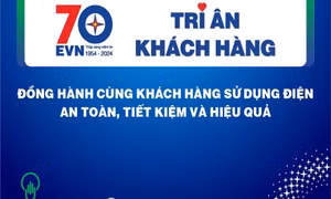 Công ty Điện lực Quảng Ninh triển khai nhiều hoạt động ý nghĩa trong Tháng Tri ân khách hàng 2024