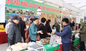 Sẵn sàng Hội chợ OCOP Quảng Ninh - Thu Đông 2024