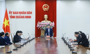 UBND tỉnh đánh giá tiến độ thực hiện xây dựng các văn bản quy định chi tiết theo Luật Đất đai 2024