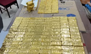 Thu thêm hơn 100 tỷ đồng trong vụ TikToker Mr Pips lừa đảo