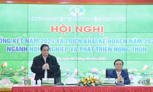 Ngành Nông nghiệp cần thích ứng linh hoạt, khơi thông nguồn lực, tăng tốc, bứt phá