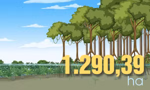1.290,39 ha - là diện tích rừng ngập mặn ven biển được trồng từ năm 2000 đến nay