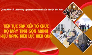 Tiếp tục sắp xếp tổ chức bộ máy "tinh - gọn - mạnh - hiệu năng - hiệu lực - hiệu quả"
