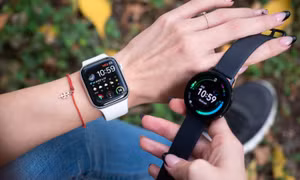 Nhiều dây đeo smartwatch chứa hoá chất vĩnh cửu gây hại