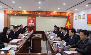 Sở Ngoại vụ tiếp và làm việc với Đoàn đại biểu thành phố Phòng Thành Cảng (Quảng Tây, Trung Quốc) 