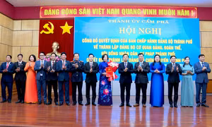 Cẩm Phả: Công bố quyết định thành lập Đảng bộ Cơ quan Đảng, Đoàn thể, Hội đồng nhân dân, Tư pháp thành phố và Đảng bộ Chính quyền thành phố