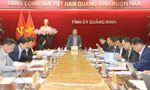 Hội nghị Ban Thường vụ Tỉnh ủy