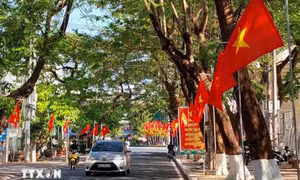 Chỉ thị của Ban Bí thư về việc tổ chức Tết Ất Tỵ năm 2025