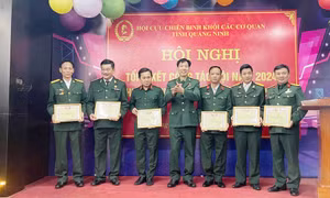 Hội CCB Khối các cơ quan tỉnh: Triển khai hiệu quả các phong trào thi đua