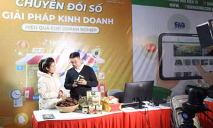 Mua sắm Tết online lên ngôi