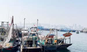 Đồn BPCK cảng Hòn Gai: Phát hiện, xử lý tàu cá khai thác thủy sản trong vùng lõi Vịnh Hạ Long