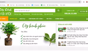 Từ Caycanhhanoi.vn sang Caycanhhanoi.net.vn: Đổi tên miền mới cho website
