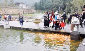 Du lịch "vượt bão" về đích mục tiêu năm 2024
