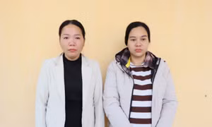 Khởi tố 2 đối tượng mua bán trẻ sơ sinh
