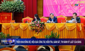 Triển khai công tác kiểm tra, giám sát, thi hành kỷ luật của Đảng năm 2025