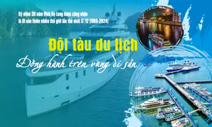 Đội tàu du lịch - Đồng hành trên vùng di sản