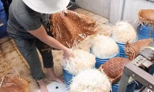 Bách Hóa Xanh thu hồi toàn bộ sản phẩm giá nhiễm hóa chất
