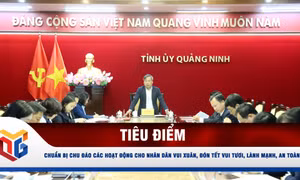 Chuẩn bị chu đáo các hoạt động cho nhân dân vui Xuân, đón Tết vui tươi, lành mạnh, an toàn