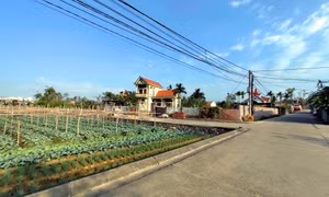 Khát vọng làm giàu của nông dân Tiền An 