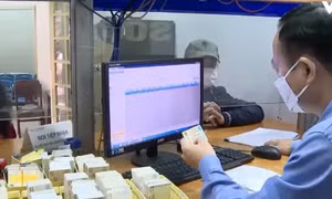 Đến năm 2030, 70% người dân trưởng thành sử dụng dịch vụ công trực tuyến
