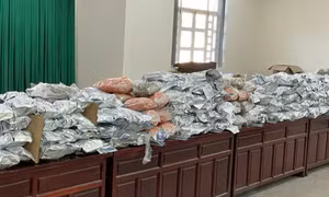 Bắt giữ đường dây ma túy dùng tiền điện tử để thanh toán, thu hơn nửa tấn cần sa