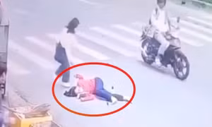 Đã xác định được người chở thùng thịt heo tông nữ tiếp viên xe buýt rồi bỏ chạy