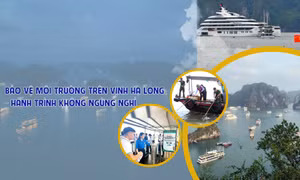 Bảo vệ môi trường trên Vịnh Hạ Long - Hành trình không ngừng nghỉ
