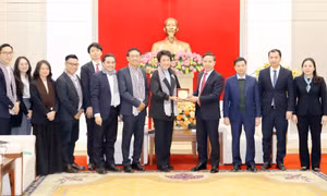 Đồng chí Chủ tịch UBND tỉnh tiếp xã giao Tập đoàn Amata