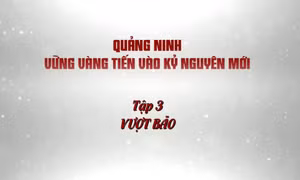 Quảng Ninh vững vàng tiến vào kỷ nguyên mới - Tập 3: Vượt bão